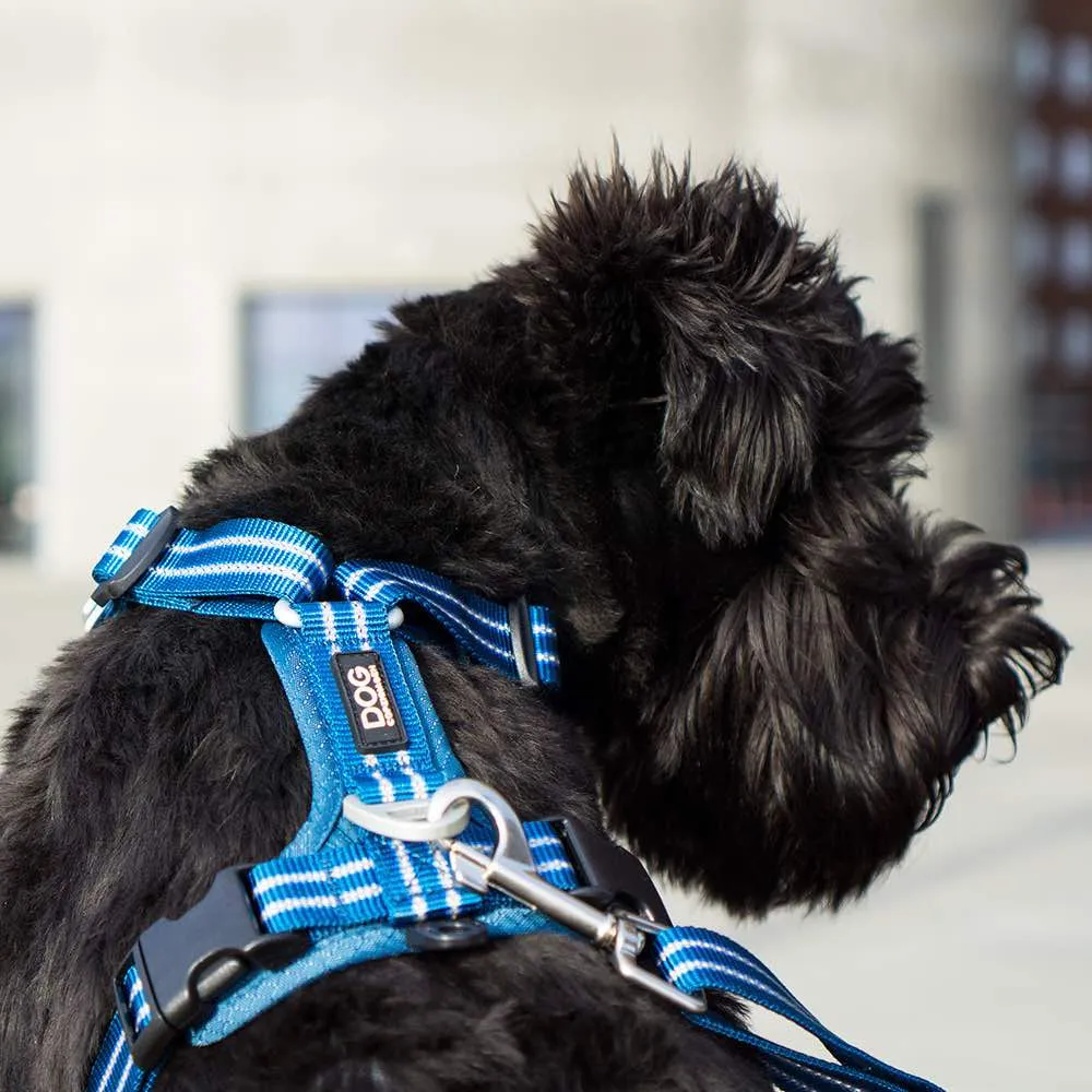 DOG Copenhagen Comfort Walk Air Dog Harness (Ocean Blue)
